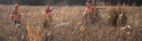 Mississippi Quail Hunting | Burnt Oak Lodge